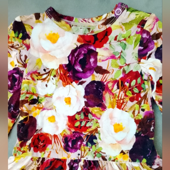 Posh Peanut 3-6 Months Floral Rose Twirl Skirt Infant Bodysuit Dress Long Sleeve - Picture 2 of 10